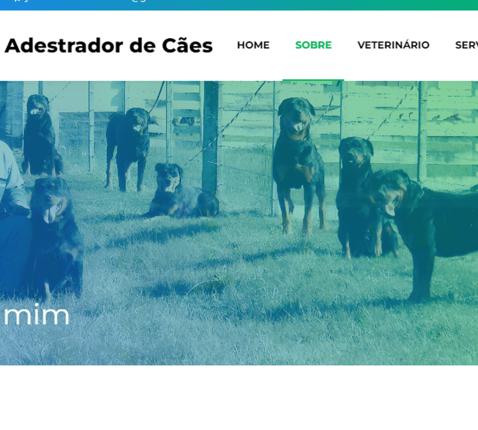 David Adestrador de Cães